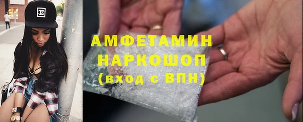 ешки Алексин